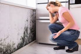 Mold Removal for HVAC Installations in Loving, NM